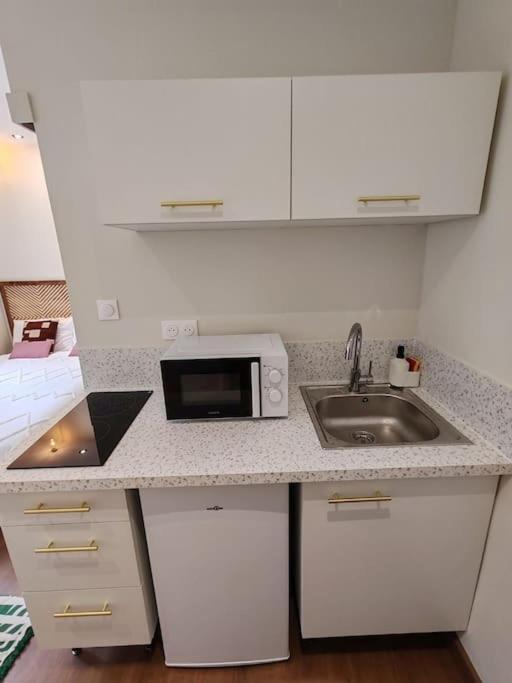 Apartment Le Petit Ecureuil Hypercentre