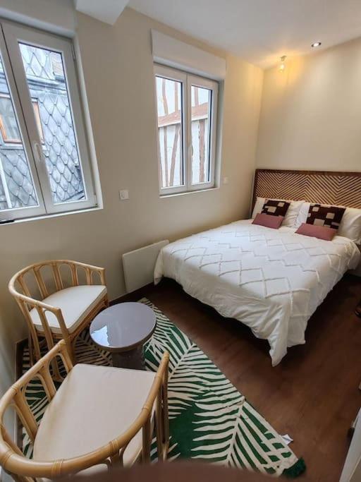 Le Petit Ecureuil Hypercentre Appartement Rouen